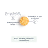 Curcupet-K9 - Future You Health Hong Kong | WELLBEING | SUPPLEMENTS | VITAMINS |MENS HEALTH | WOMENS HEALTH | PRIME FIFTY | FITNESS | HEALTH |