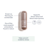 Astaxanthin+- Future You Health Hong Kong | WELLBEING | SUPPLEMENTS | VITAMINS |MENS HEALTH | WOMENS HEALTH | PRIME FIFTY | FITNESS | HEALTH |