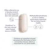 MSM+ AdvancedFuture You Health Hong Kong | WELLBEING | SUPPLEMENTS | VITAMINS |MENS HEALTH | WOMENS HEALTH | PRIME FIFTY | FITNESS | HEALTH |