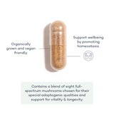 Mushroom Complex+ Future You Health Hong Kong | WELLBEING | SUPPLEMENTS | VITAMINS |MENS HEALTH | WOMENS HEALTH | PRIME FIFTY | FITNESS | HEALTH |