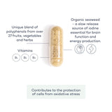 PHYTOENERGY+ FUTUREYOU HONG KONG | WELLBEING | SUPPLEMENTS | VITAMINS |MENS HEALTH | WOMENS HEALTH | PRIME FIFTY | FITNESS | HEALTH |